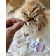 Ласощі для котів GimCat Every Day Malt Tabs 40 г - асорті