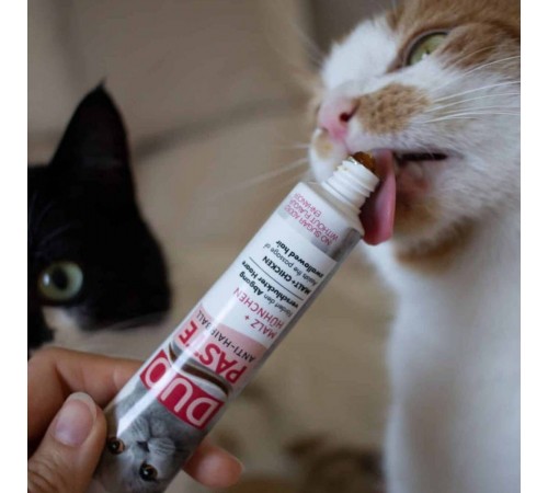 Ласощі для котів GimCat Duo Paste Anti-hairboll 50 г - курка та мальт