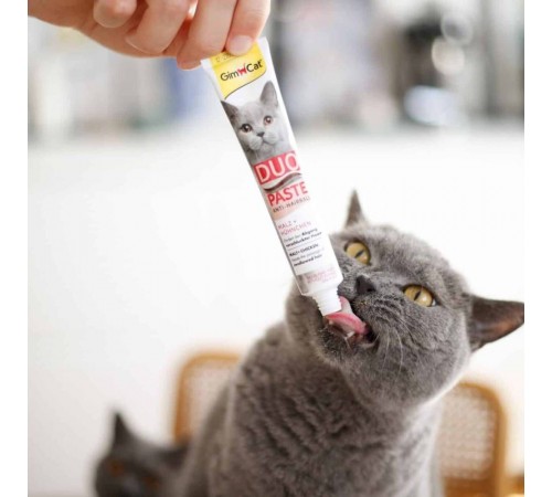 Ласощі для котів GimCat Duo Paste Anti-hairboll 50 г - курка та мальт