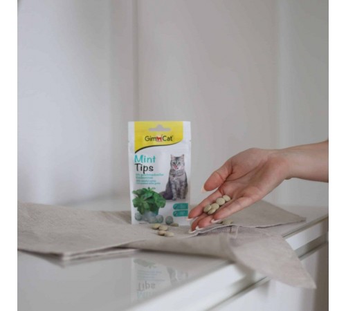 Ласощі для котів GimCat Mint Tips 40 г - м'ята
