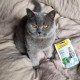 Ласощі для котів GimCat Mint Tips 40 г - м'ята