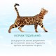 Набір 3+1 вологий корм для котів Optimeal Adult 280 г - асорті
