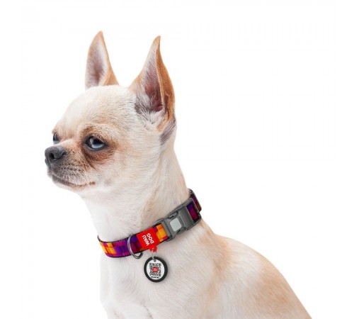 Нашийник для собак Collar WAUDOG Nylon S