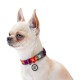 Нашийник для собак Collar WAUDOG Nylon S