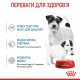 Вологий корм для цуценят та годуючих собак Royal Canin Royal Starter Mousse 195 г