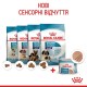 Вологий корм для цуценят та годуючих собак Royal Canin Royal Starter Mousse 195 г