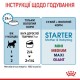 Вологий корм для цуценят та годуючих собак Royal Canin Royal Starter Mousse 195 г