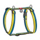 Шлея H-образна WAUDOG Nylon c QR паспортом і малюнком «Colors of freedom» S 30-40/15 мм