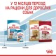 Сухий корм для цуценят Royal Canin Medium Puppy 15 кг