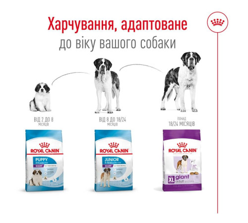 Сухий корм для собак Royal Canin Giant Adult 15 кг