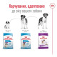 Сухий корм для собак Royal Canin Giant Adult 15 кг