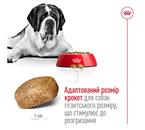 Сухий корм для собак Royal Canin Giant Adult 15 кг