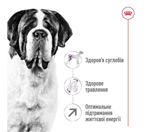 Сухий корм для собак Royal Canin Giant Adult 15 кг