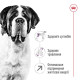 Сухий корм для собак Royal Canin Giant Adult 15 кг