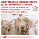 Сухий корм для собак Royal Canin Anallergenic 3 кг