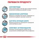 Сухий корм для собак Royal Canin Anallergenic 3 кг