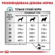 Сухий корм для собак Royal Canin Anallergenic 3 кг
