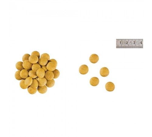 Сухий корм для собак Royal Canin Anallergenic 3 кг