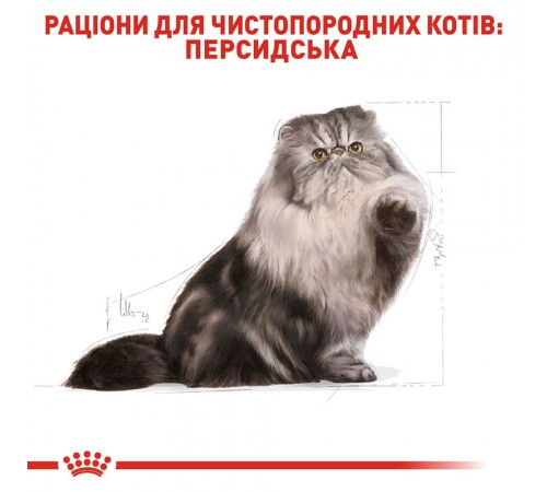 Сухий корм для котів перської породи Royal Canin Persian Adult 2 кг