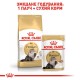 Сухий корм для котів перської породи Royal Canin Persian Adult 2 кг