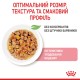 Вологий корм для кошенят Royal Canin Kitten Gravy pouch 85 г