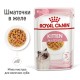 Вологий корм для кошенят Royal Canin Kitten Gravy pouch 85 г