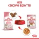 Вологий корм для кошенят Royal Canin Kitten Gravy pouch 85 г