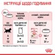 Вологий корм для кошенят Royal Canin Kitten Gravy pouch 85 г