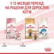 Вологий корм для кошенят Royal Canin Kitten Gravy pouch 85 г