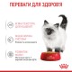 Вологий корм для кошенят Royal Canin Kitten Gravy pouch 85 г