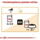 Вологий корм для котів Royal Canin Intense Beauty Jelly pouch 85 г