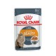 Вологий корм для котів Royal Canin Intense Beauty Jelly pouch 85 г