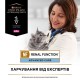 Вологий корм пауч для кішок при захворюваннях нирок Pro Plan Veterinary Diets NF 85 г (лосось)