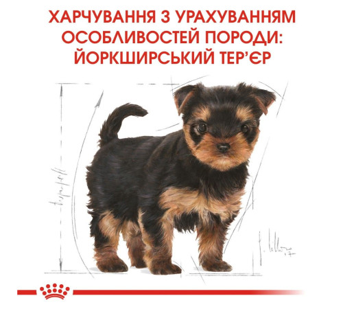 Сухий корм для цуценят Royal Canin Yorkshire Puppy 1,2 кг