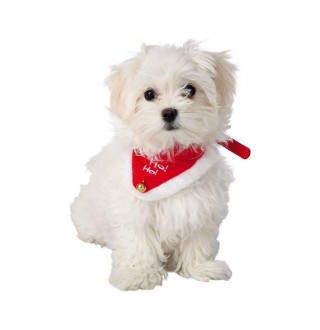 Різдвяний нашийник для собак Trixie S-M: 30-40 см / 20 мм (червоно-білий) - dgs