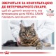 Сухий корм для котів Royal Canin Neutered Satiety Balance 400 г