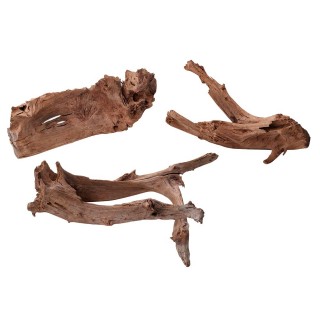 Декорація для акваріума Натуральна корч 600-800 мм (мангове дерево)