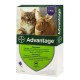 Advantage by Elanco-Bayer - протипаразитарні краплі від бліх для котів і кролів від 4-8кг