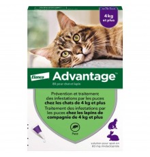 Advantage by Elanco-Bayer - протипаразитарні краплі від бліх для котів і кролів від 4-8кг