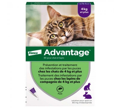 Advantage by Elanco-Bayer - протипаразитарні краплі від бліх для котів і кролів від 4-8кг