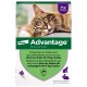 Advantage by Elanco-Bayer - протипаразитарні краплі від бліх для котів і кролів від 4-8кг