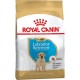 Сухий корм для цуценят Royal Canin Labrador Retriever Puppy 3 кг