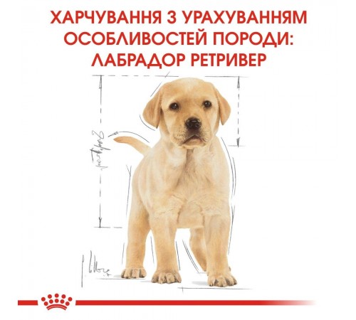 Сухий корм для цуценят Royal Canin Labrador Retriever Puppy 3 кг