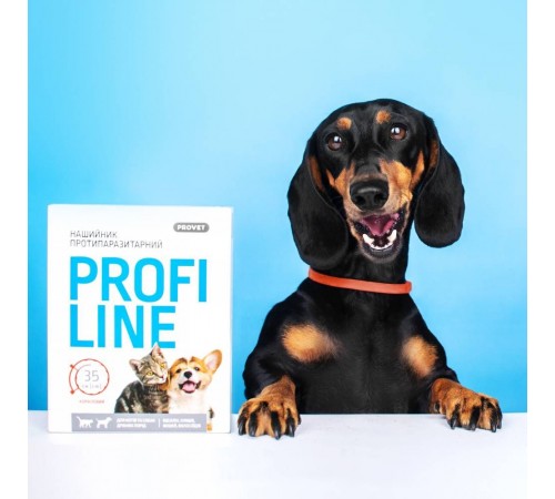 Нашийник для котів PROVET Profiline 35 см - кораловий