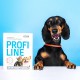 Нашийник для котів PROVET Profiline 35 см - кораловий