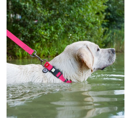 Нашийник для собак COLLAR WOUDOG Водостійкий M - рожевий