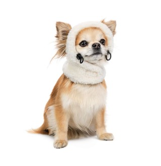 Шапка для собак Pet Fashion Teddy XS