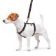 Шлея для собак Collar Nylon H-подібна S - чорний