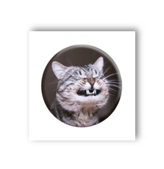 Стікер-3D Tatooshka Мемасний кіт