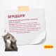 Сухий корм для кошенят Josera Kitten 10 кг - домашня птиця